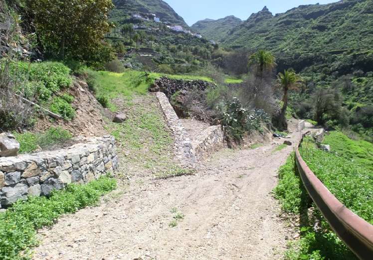 Imagen del camino de acceso agriÌcola a El Carrizal de Tejeda (Foto TA)